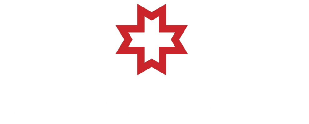 regina-maria-logo-alb